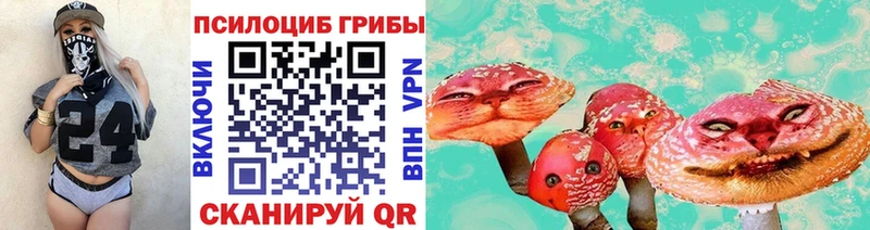 Галлюциногенные грибы Psilocybine cubensis  Кемерово 