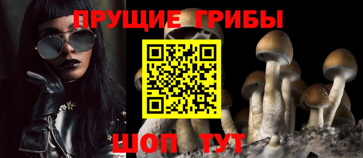 Кемерово  Псилоцибиновые грибы Magic Shrooms  Вход с VPN  Псилоцибиновые грибы Cubensis 